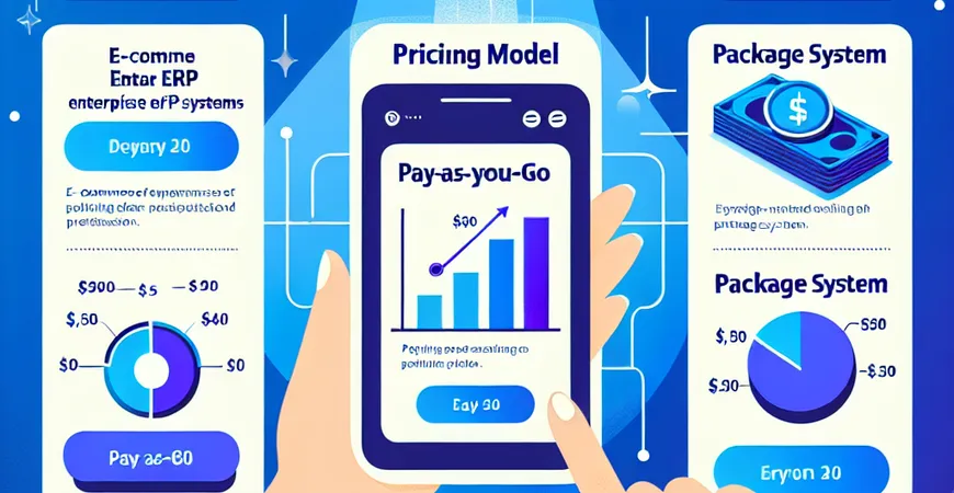 电商企业 ERP 系统收费模式详解：按需付费 vs 套餐制